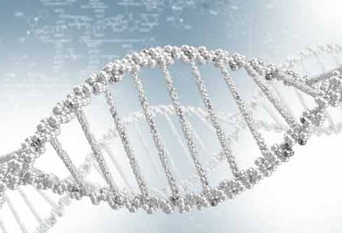 Hvad er udvikling - DNA spiral - SOULANDBODY