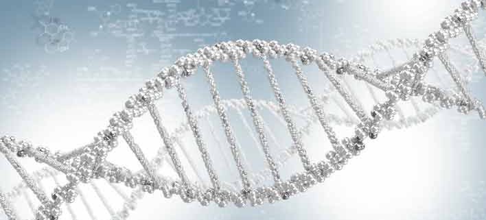 Hvad er udvikling - DNA spiral - SOULANDBODY